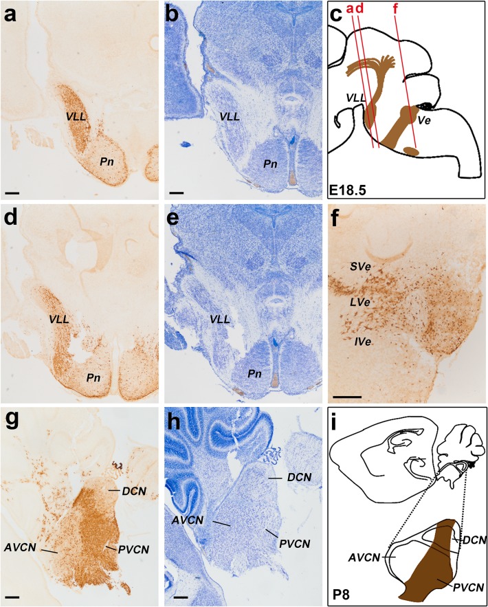 Fig. 10