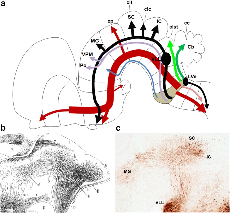 Fig. 17