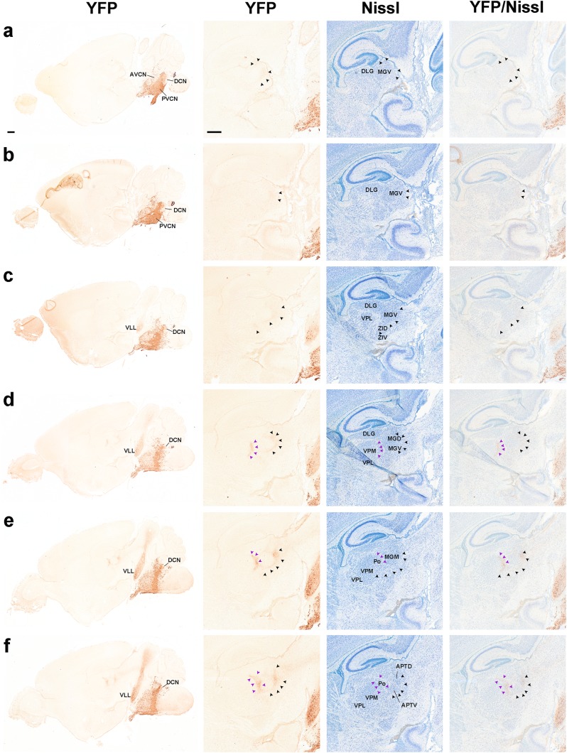 Fig. 13