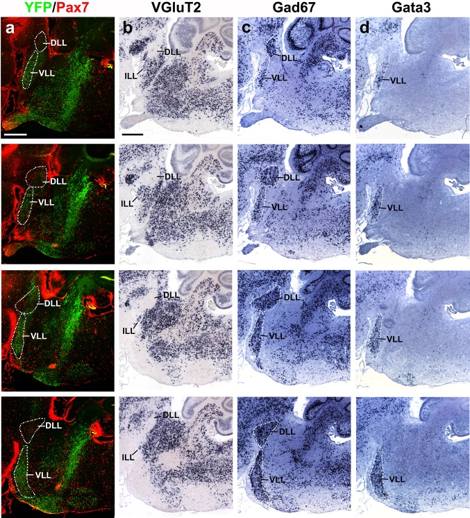 Fig. 16