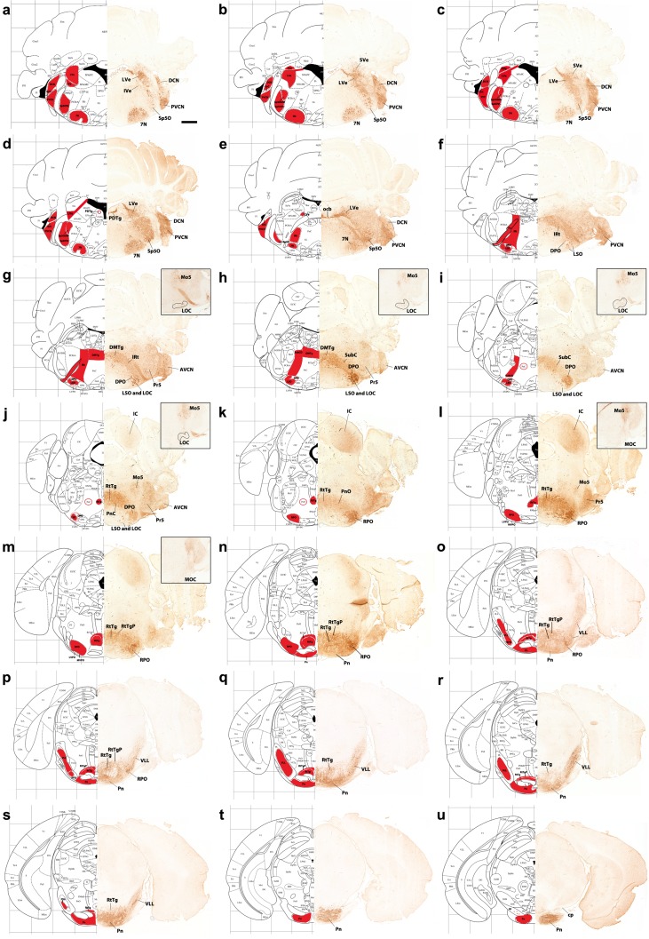 Fig. 14