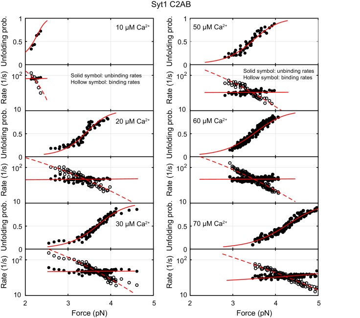 Figure 4—figure supplement 2.