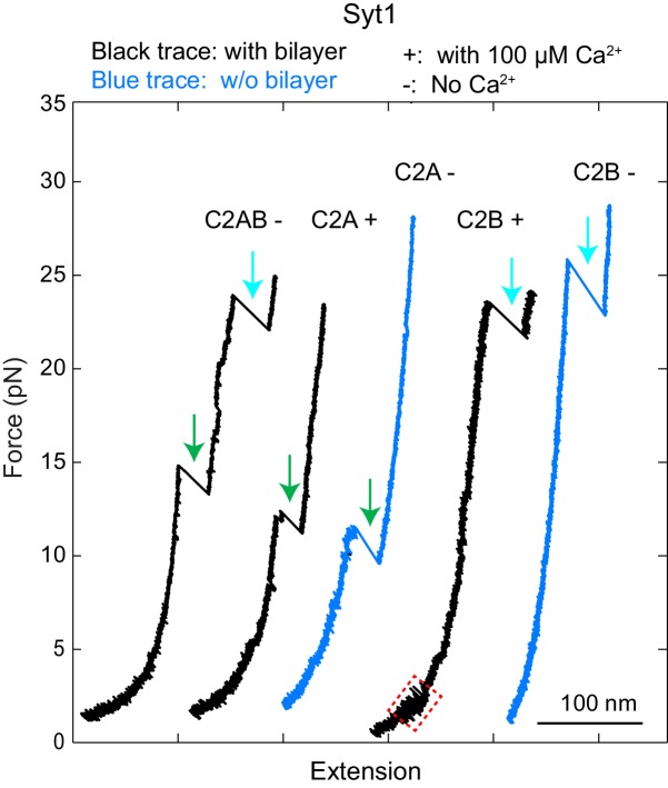 Figure 1—figure supplement 5.