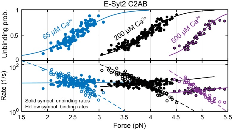 Figure 4—figure supplement 1.