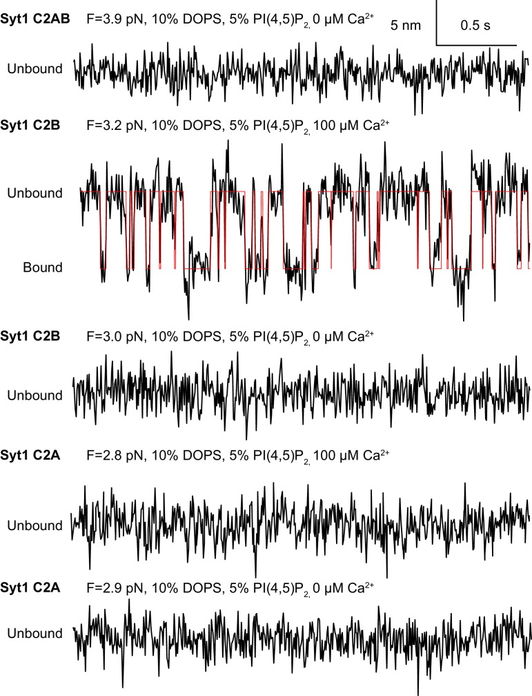 Figure 1—figure supplement 6.