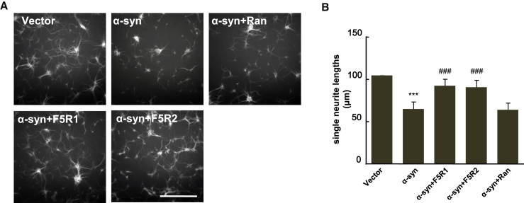 Figure 7