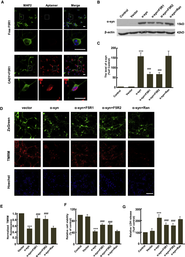 Figure 6