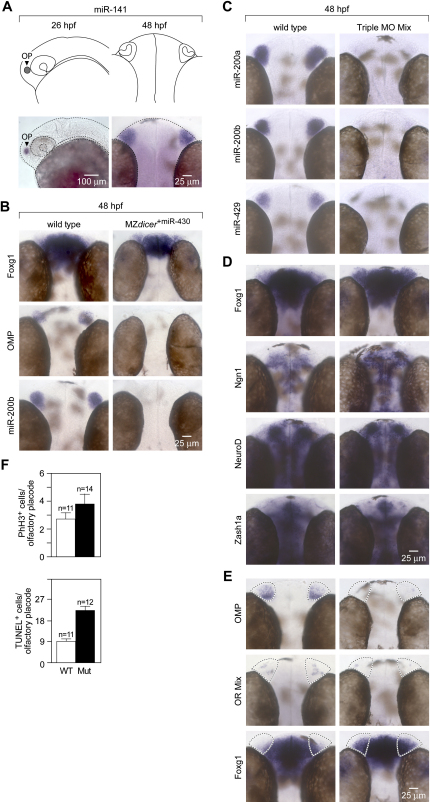 Figure 7