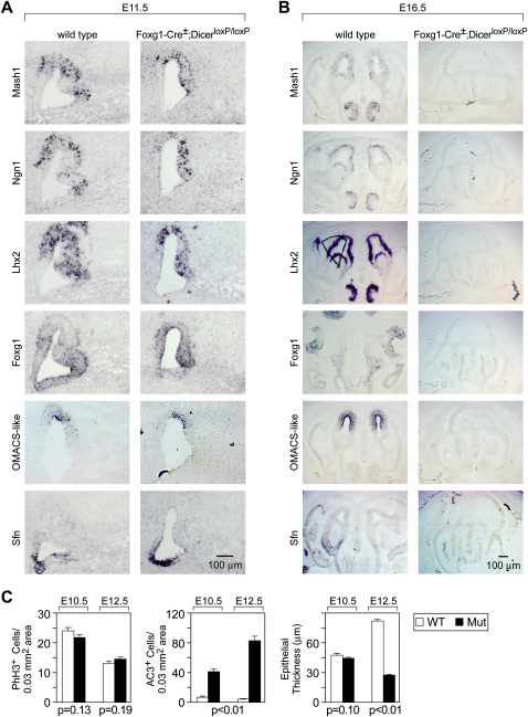 Figure 5