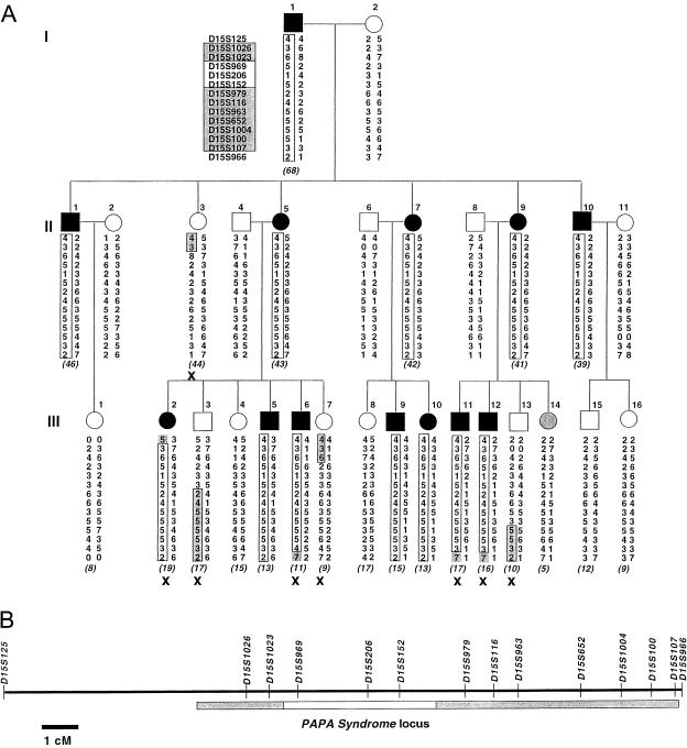 Figure  1