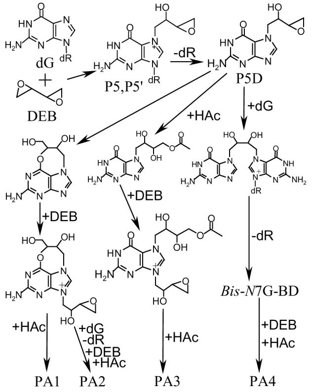 Scheme 4