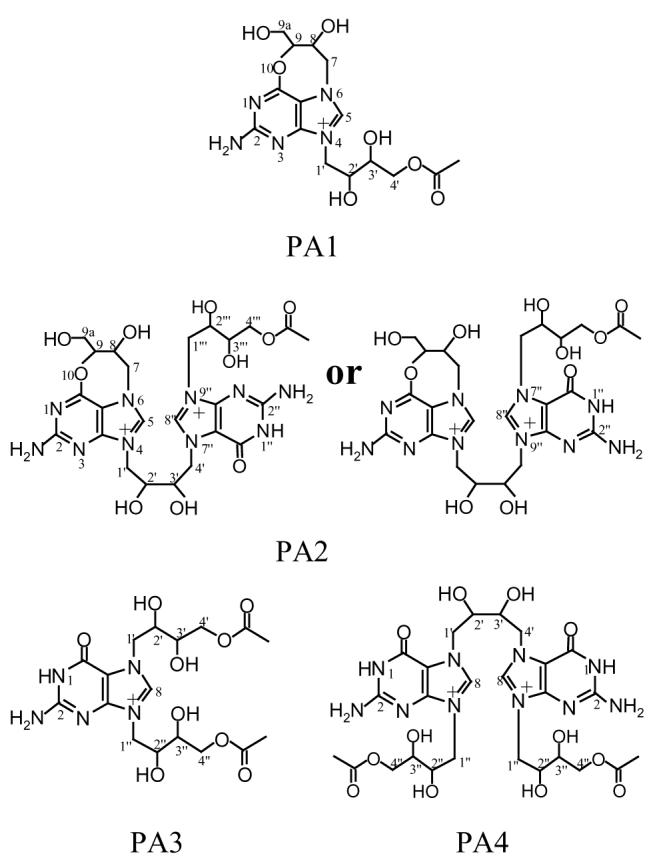 Scheme 3