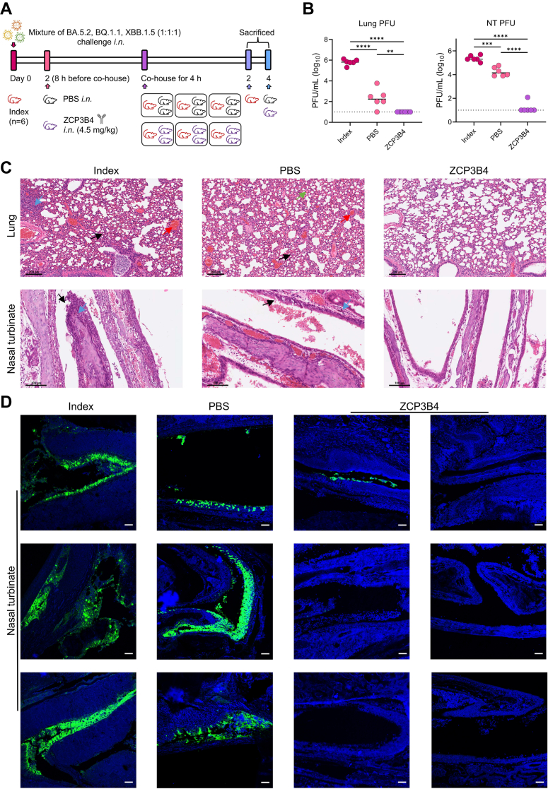 Fig. 6