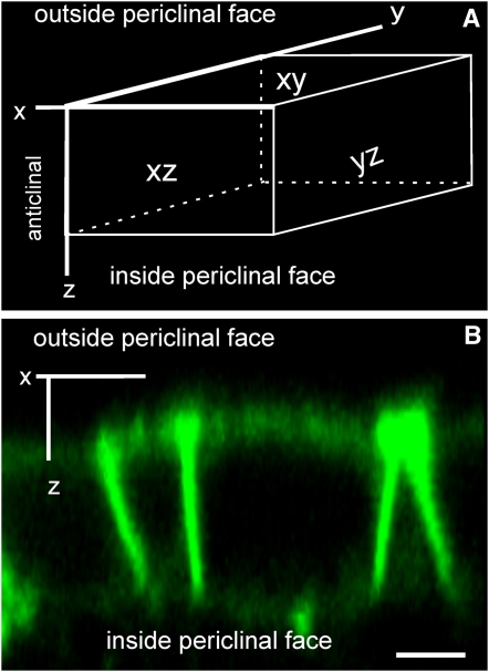 Figure 5.