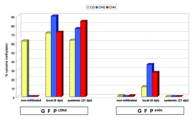 graphic file with name rna-11-934-g4.jpg