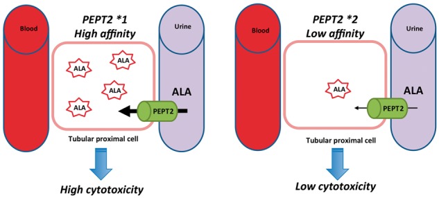 Fig 3.