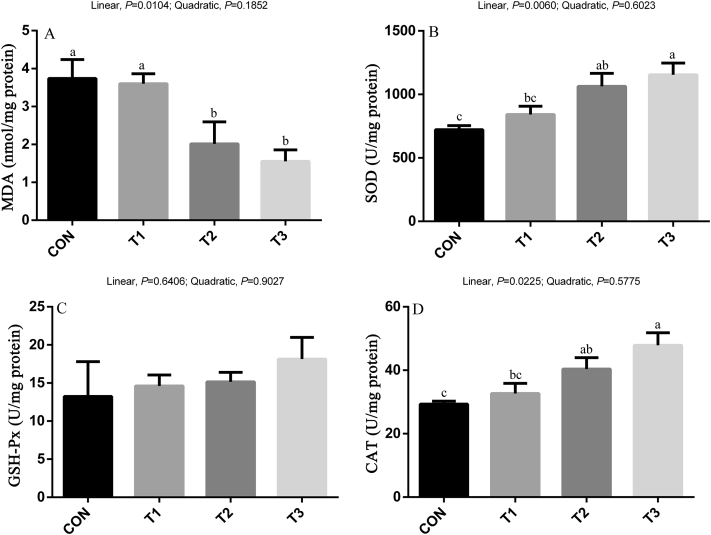 Figure 3