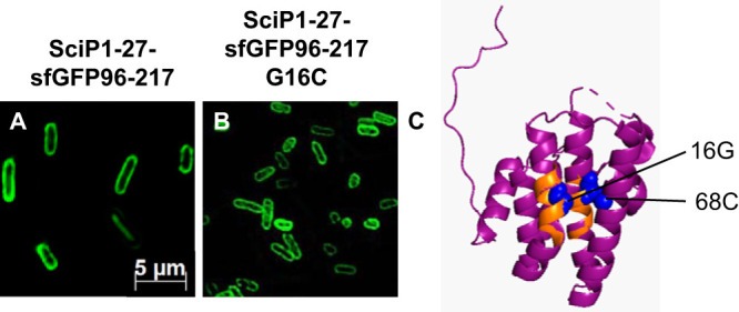 FIG 6