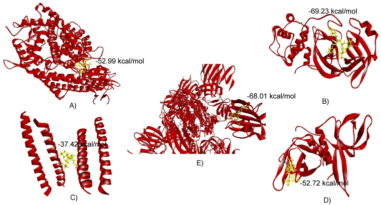 Fig. 2