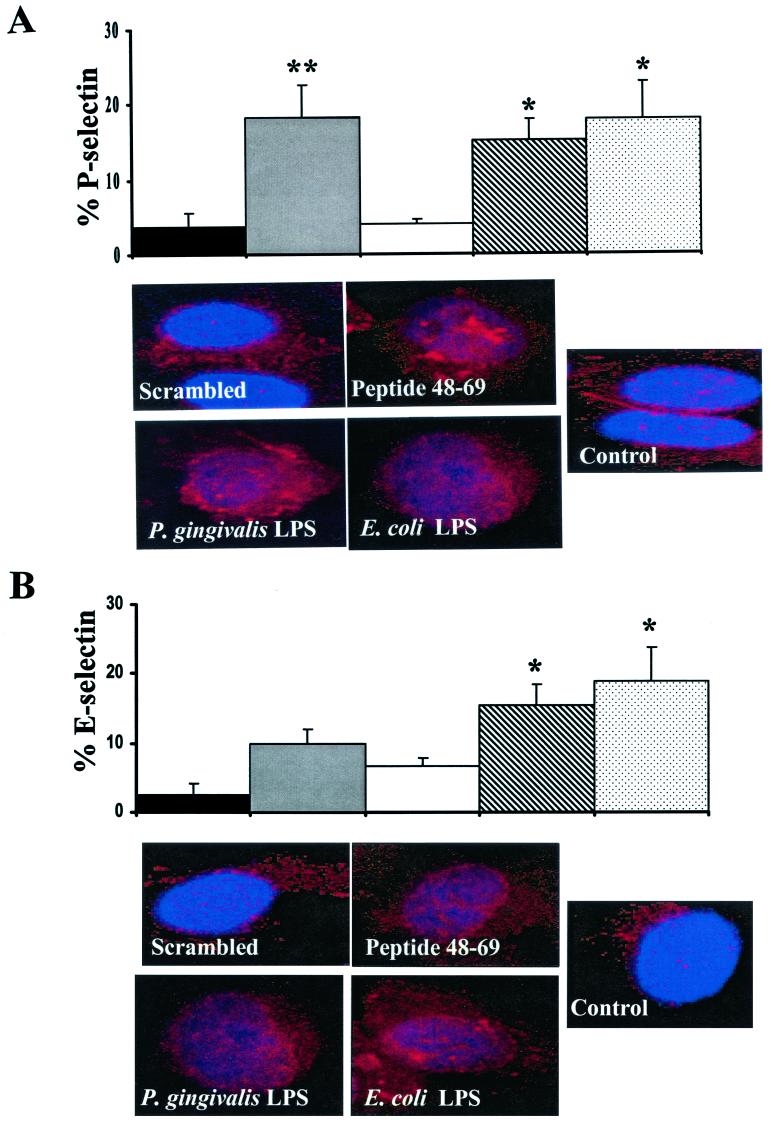 FIG. 8.