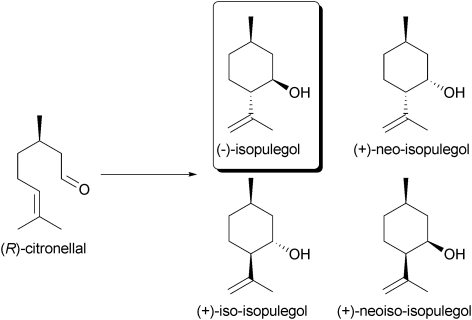 Scheme 5