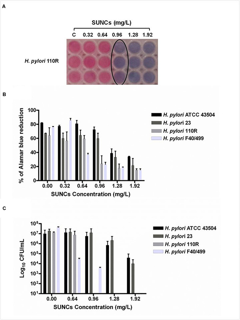 FIGURE 4