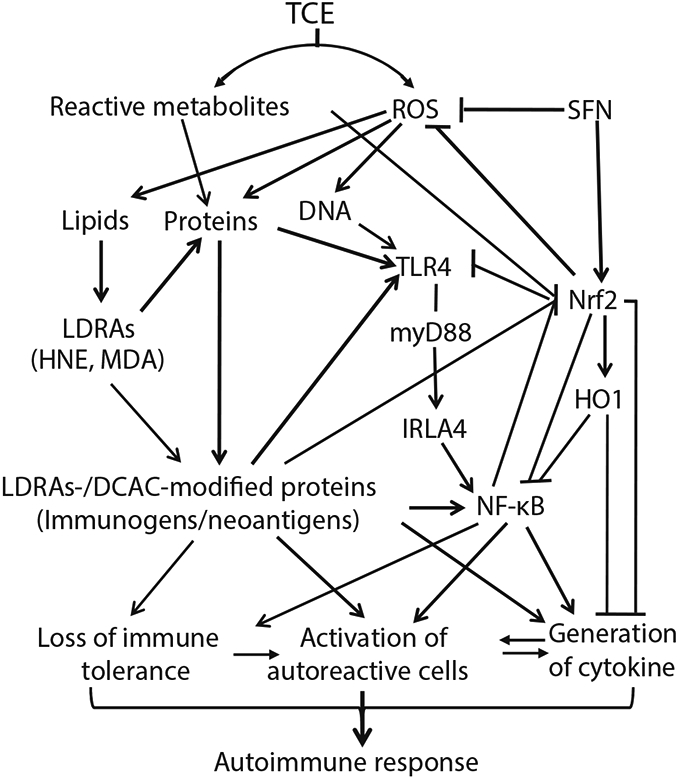 Fig. 8.