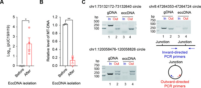 Figure 1—figure supplement 2.