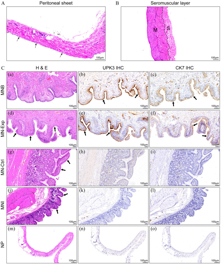 Figure 5.