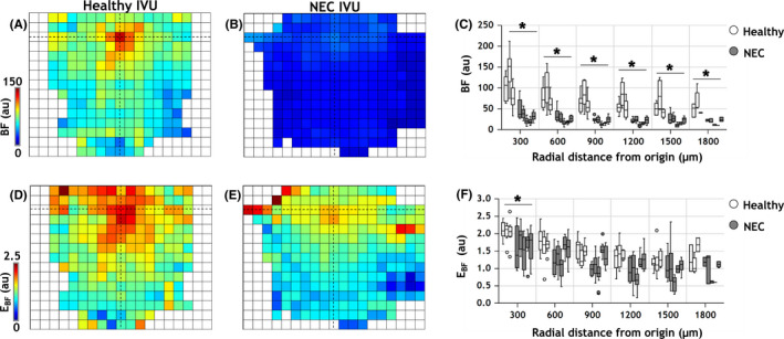 FIGURE 6