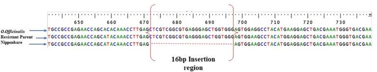 Figure 4