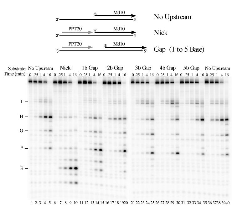 Fig. 9.