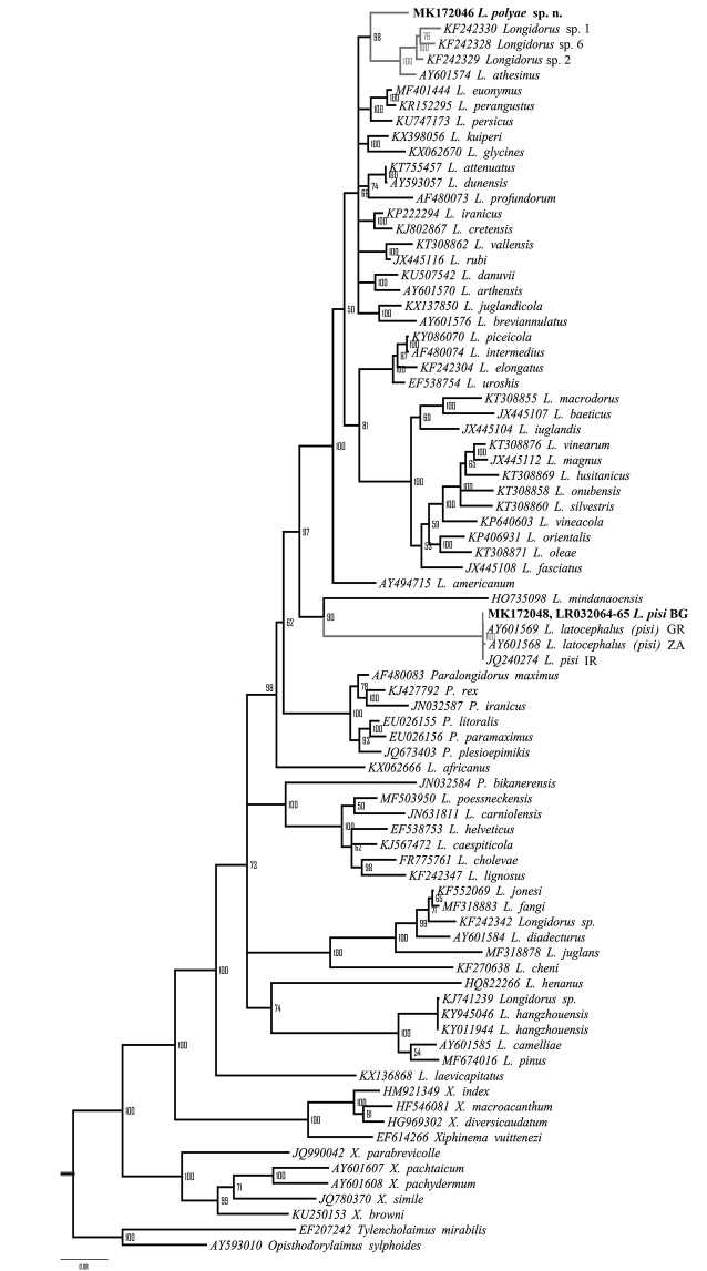 Figure 9.