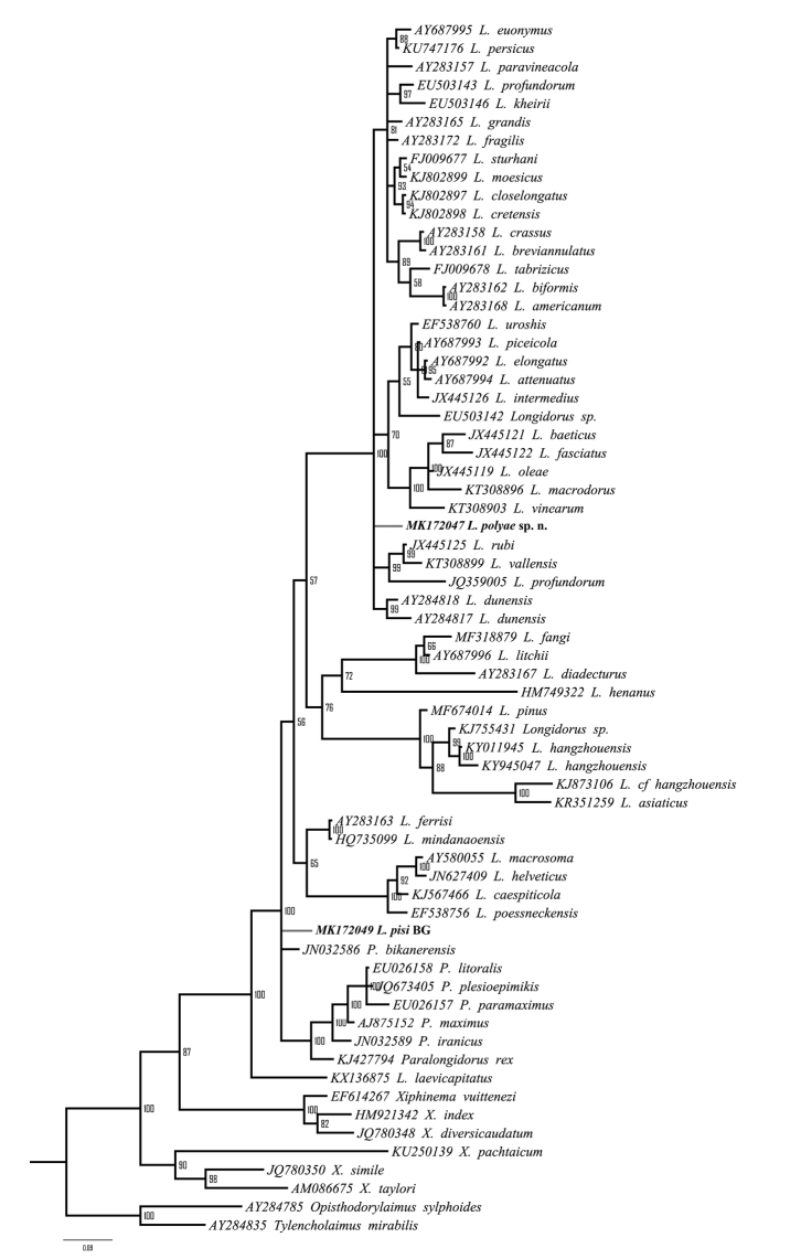 Figure 10.