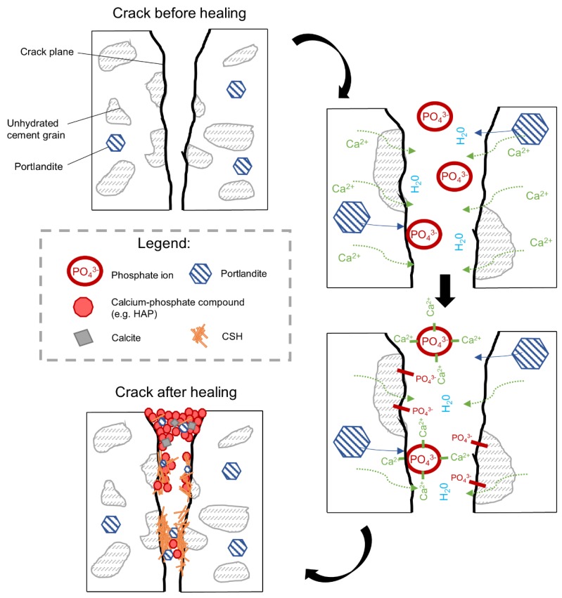 Figure 22