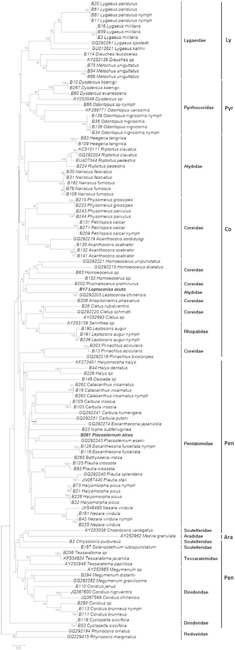 Fig. 2