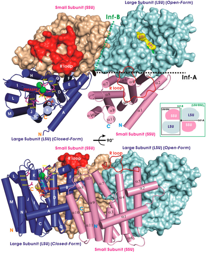 FIGURE 2