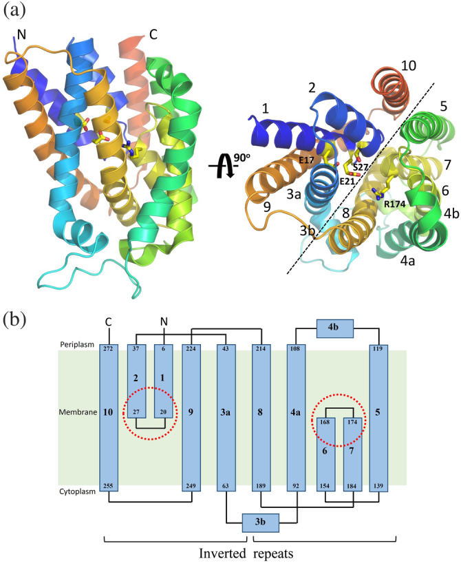 FIGURE 11