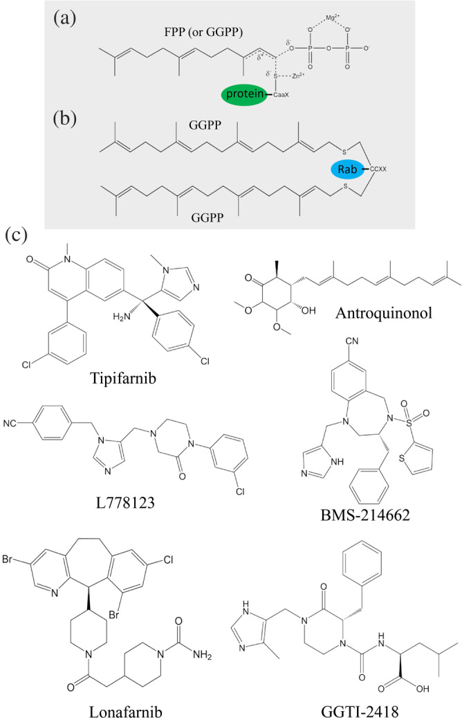 FIGURE 9