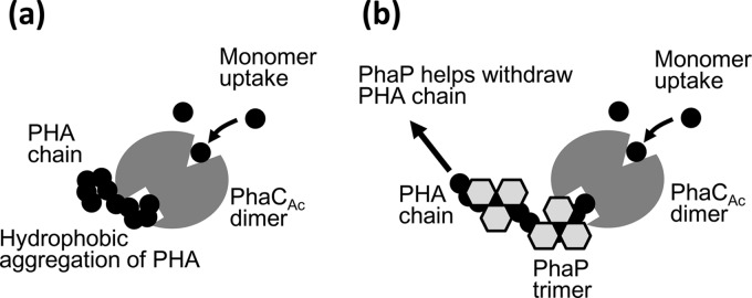 FIG 8