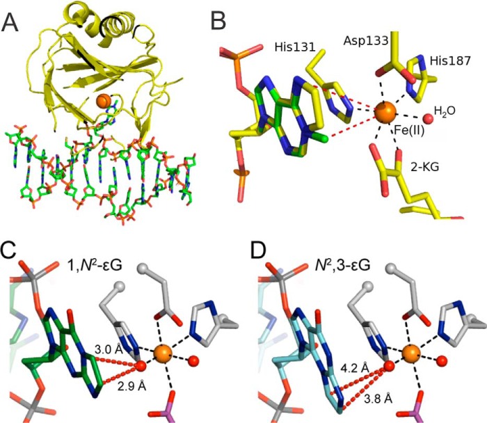 FIGURE 2.