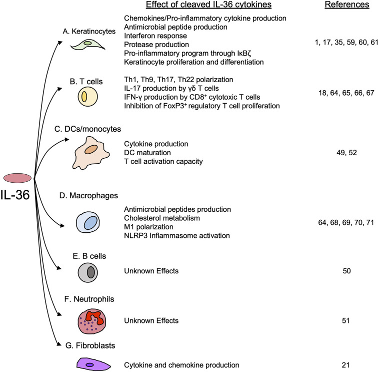 Figure 5