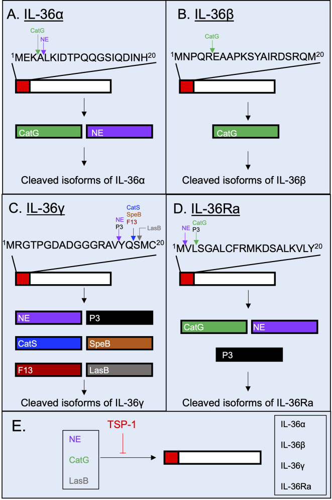 Figure 3