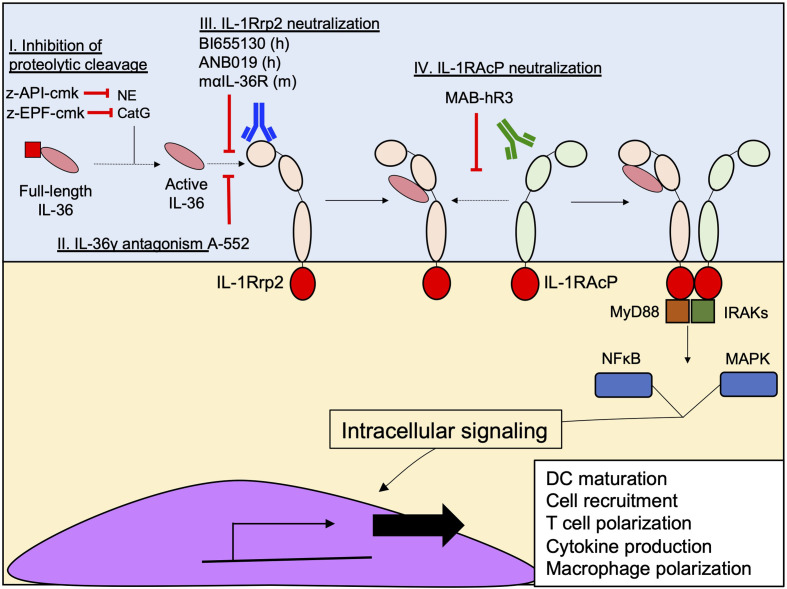 Figure 6