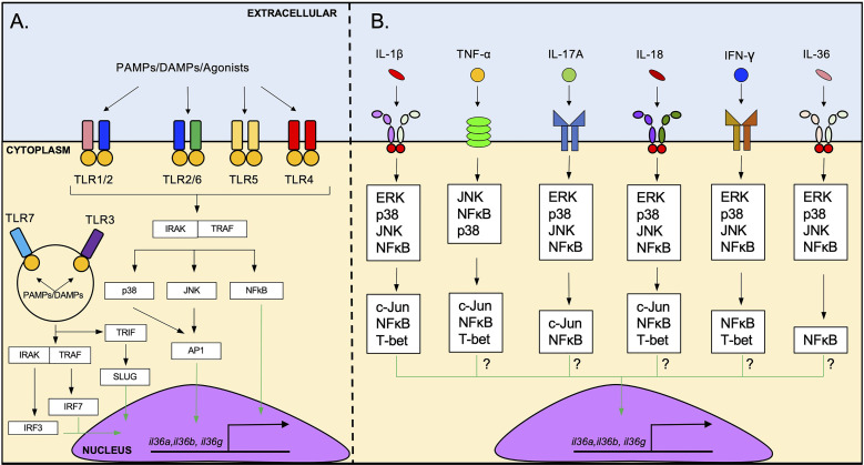 Figure 2