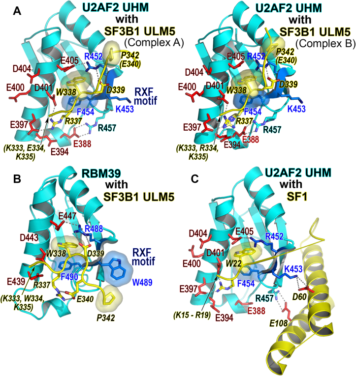 Figure 2