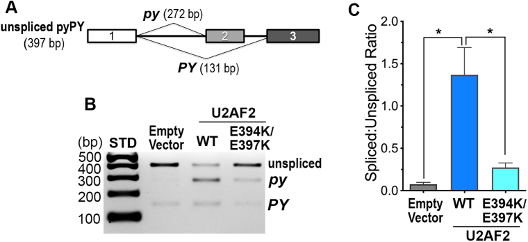 Figure 5