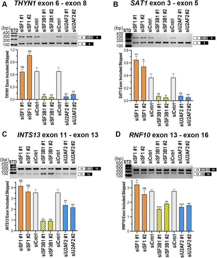 Figure 7