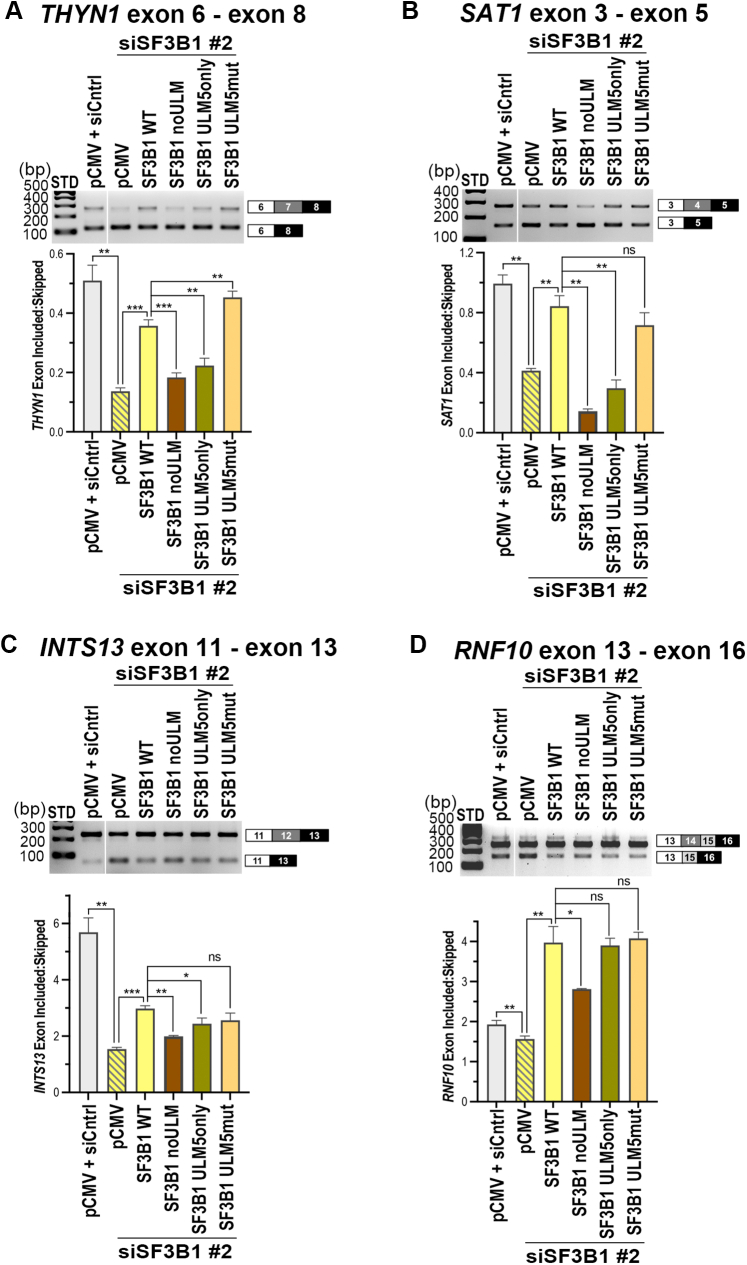 Figure 6