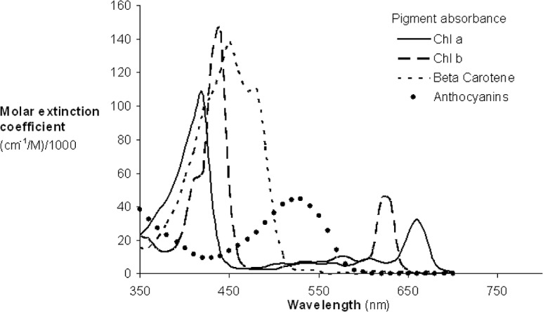 Fig 5